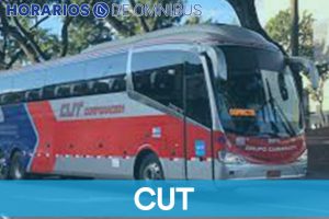 CUT – Omnibus Colonia