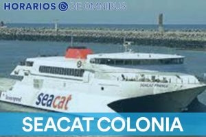 SeaCat Colonia