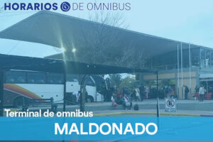 Terminal Maldonado